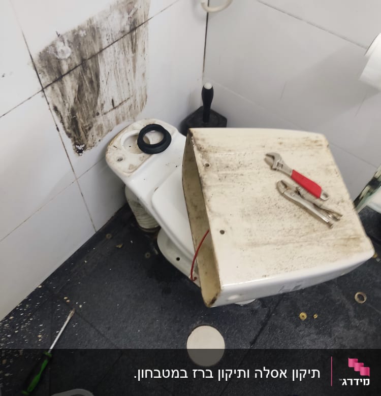 כלים סניטריים, מפתח צינורות, מברג, שירותים מפורקים